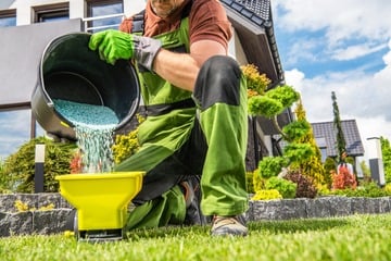 Rasen kalken: Wann und wie ist es richtig?