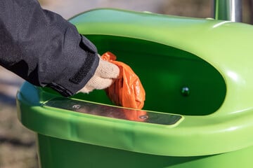 Wo sollte man Hundekot entsorgen: Darf der in die Biotonne?