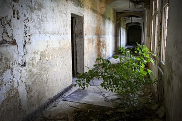 Berlin: Mann mit Knarre bedroht Jugendliche in "Lost Place" in Weißensee: SEK-Einsatz!