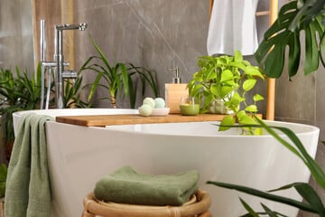 Pflanzen fürs Badezimmer: Die 10 besten Pflanzen für helle und dunkle Bäder