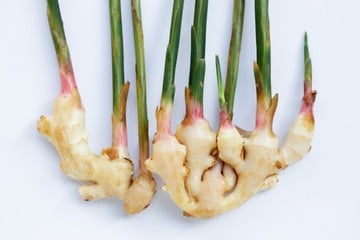 Superfood vom Fensterbrett: So einfach kannst Du Ingwer selbst anbauen