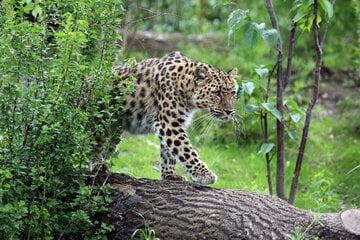 Zoo Leipzig