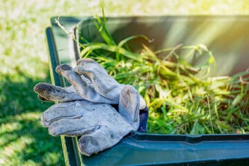 Grünschnitt entsorgen: Hier gehört der Gartenabfall hin