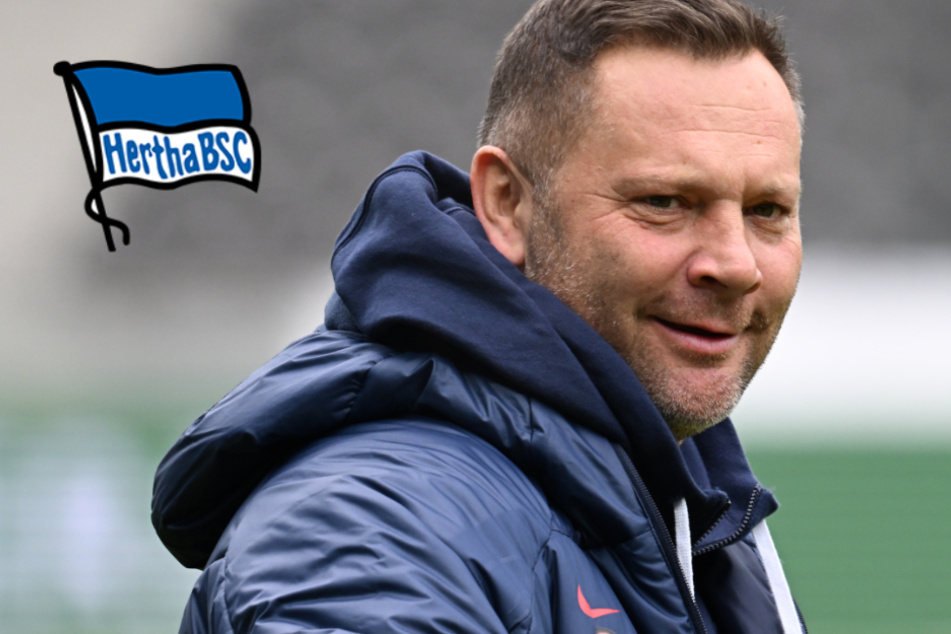 Warum gleich drei Hertha-Profis unter Welpenschutz stehen