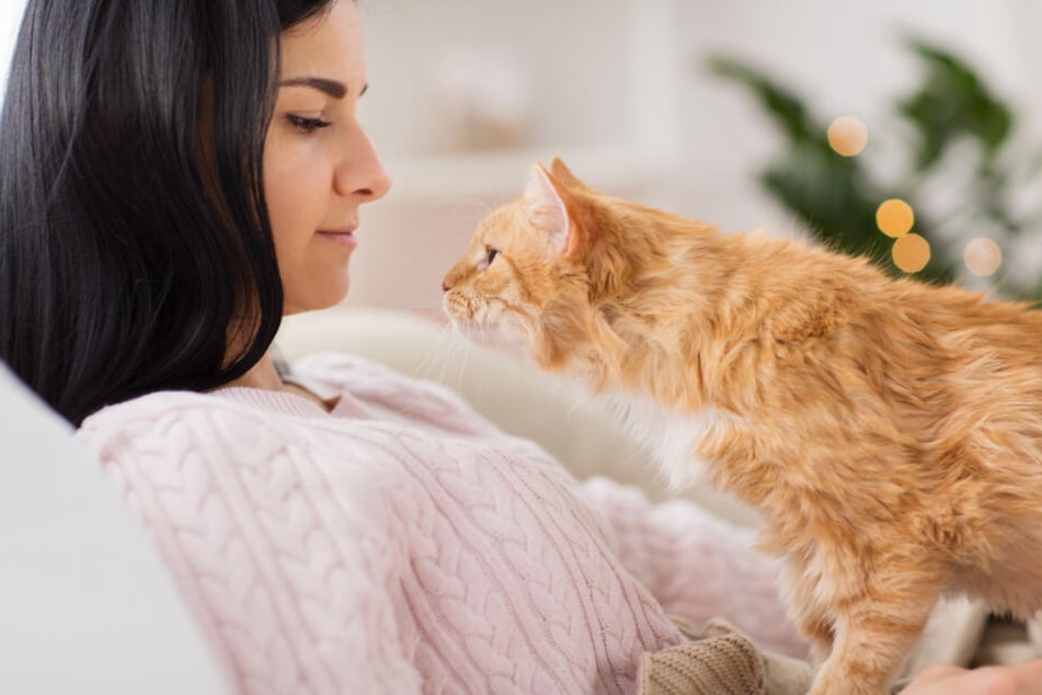 Mit Zeit und viel Gefühl verstehen sich Mensch und Katze auch ohne Worte.