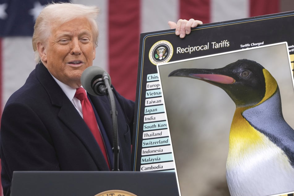 Nicht einmal Pinguine sind sicher: Trump mit peinlichem Fauxpas bei neuer Zoll-Regelung