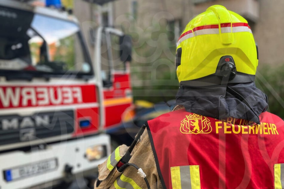 Berlin: Feuer und Rauch in Wohnhaus: Bewohner und Hund gerettet, zwei Menschen verletzt