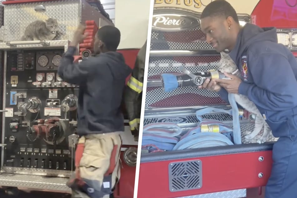 Peanut the cat diligently supports her owner Lamine Fofana at work at the fire station.