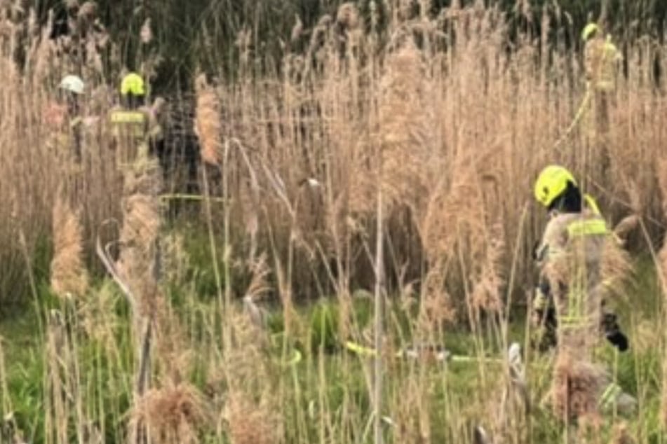 Berlin: Spaziergänger entdecken brennendes Schilf und verhindern Schlimmeres