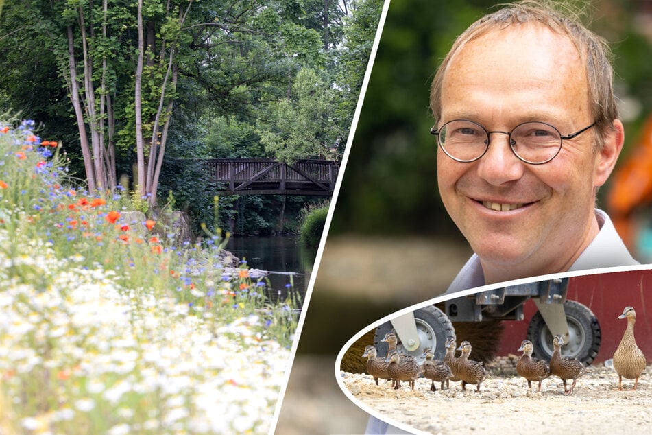 Walkmühlenwehr abgebaut: In der Lausitz hat die Spree ihr altes Bett zurück