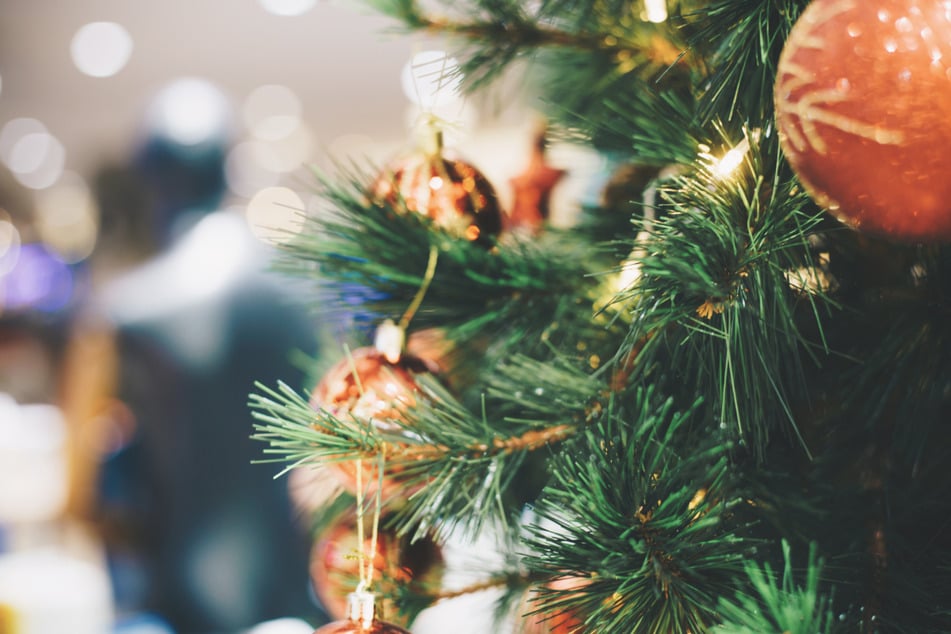 Hamburg: Weihnachtsbaum fängt Feuer und bringt bettlägerige Person in Lebensgefahr