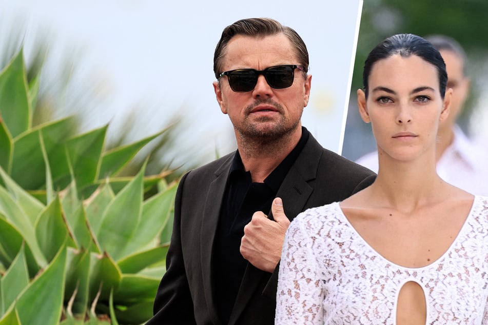 Bricht sie den DiCaprio-Fluch? "Er ist verrückt nach ihr"