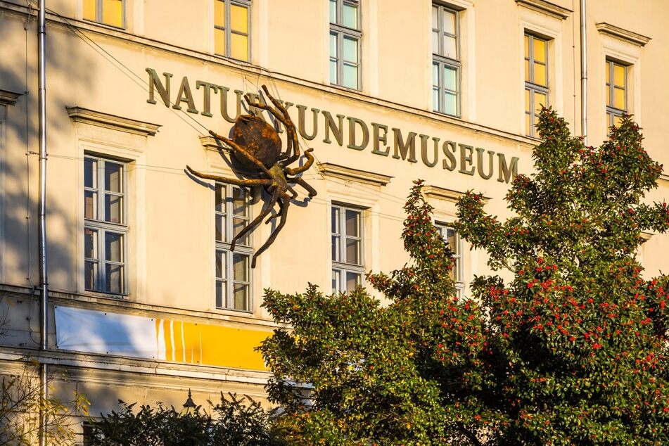 Die Vielfalt der Flora und Fauna weltweit kennenlernen kann man im Naturkundemuseum in Leipzig.