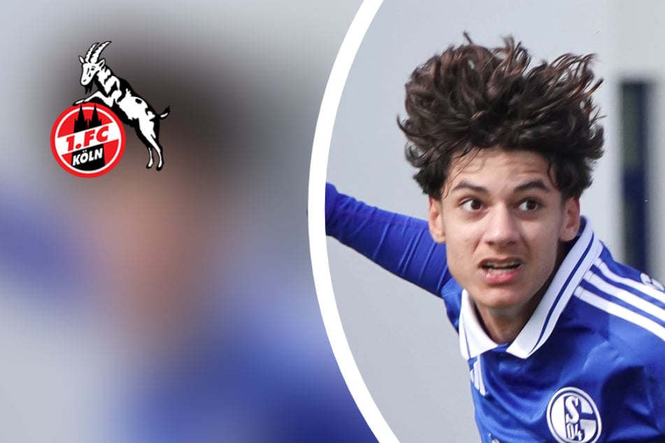 Transfer fix! 1. FC Köln holt Mittelfeld-Juwel von Liga-Konkurrent Schalke 04