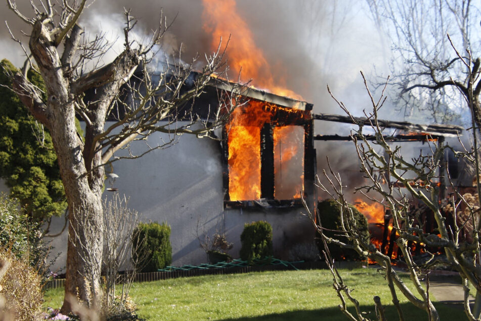 Berlin: Meterhohe Flammen in Gartenlaube: Feuerwehr im Einsatz