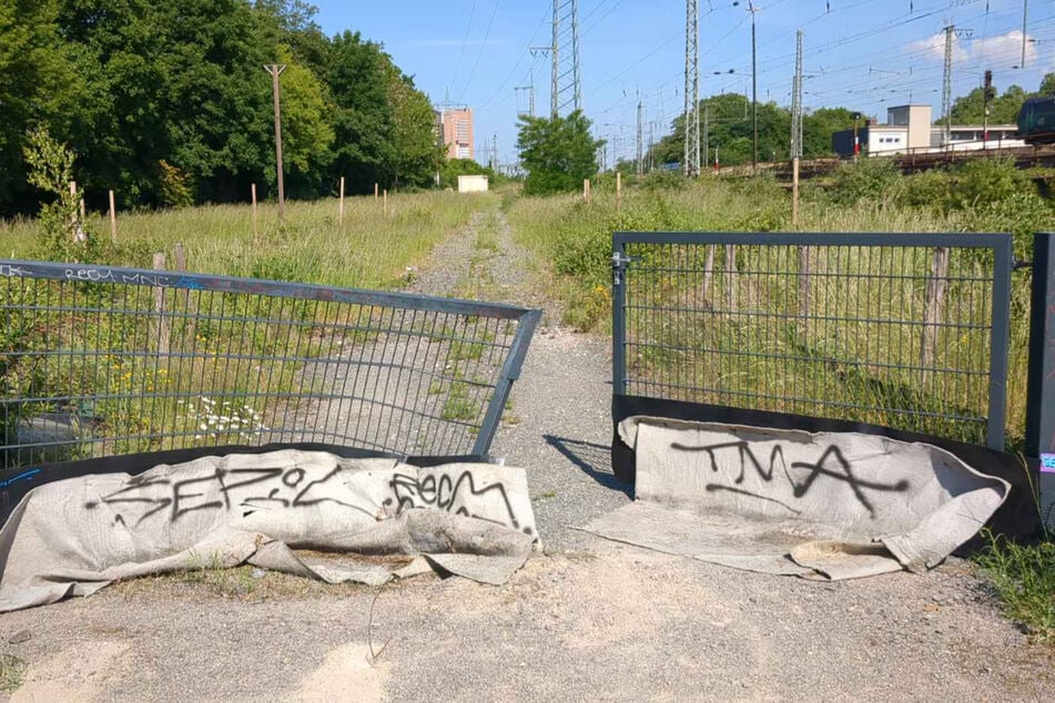 Das Stahltor zum Pionierpark wurde mutmaßlich mit einem Auto gewaltsam aufgebrochen.