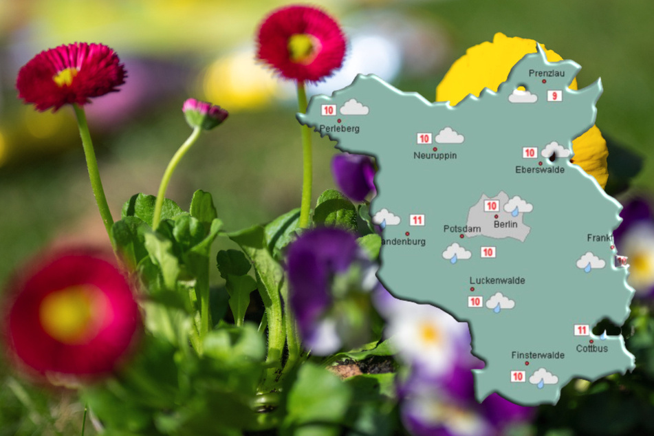 Kalte Nächte, aber frühlingshafte Tage: Echtes April-Wetter in Berlin und Brandenburg