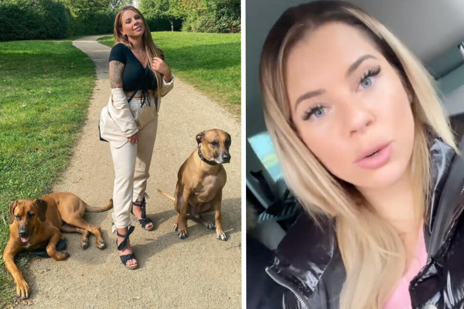 Schock bei Jenny Frankhauser: Plötzlich pinkelt ihr Hund Blut!
