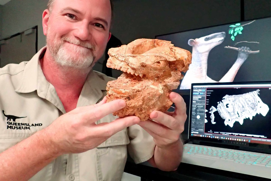 Why did giant prehistoric kangaroos go extinct? Scientists have new answers