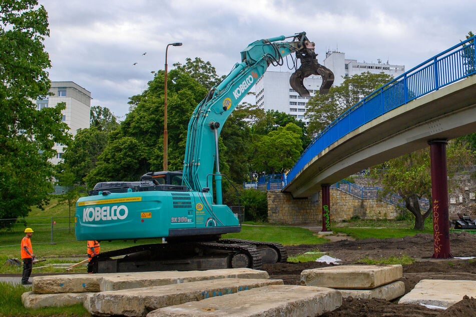 Neue Brücke am Petriförder: Das sagt OB Borris zum Wunsch der Magdeburger