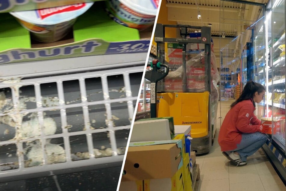 Ekelerregende Zustände in Kaufland-Filialen: "Team Wallraff" deckt Schimmel und Mäuse-Befall auf